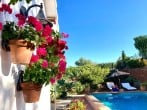 Pool and flowers Pool and flowers